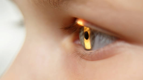 istock Examination of the child using a slit lamp. Microscope and focused light source. A device for high-precision examination of the eye to determine the condition of the lens. 2158393538