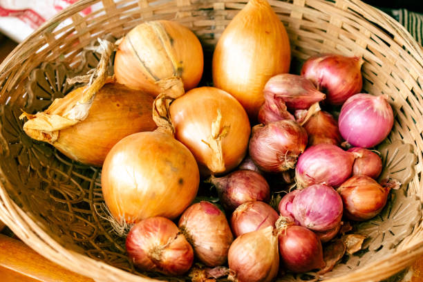 istock A Basket of Indonesian Spices 2158401310