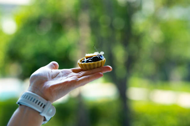 hand hold orange and blueberry tart on background