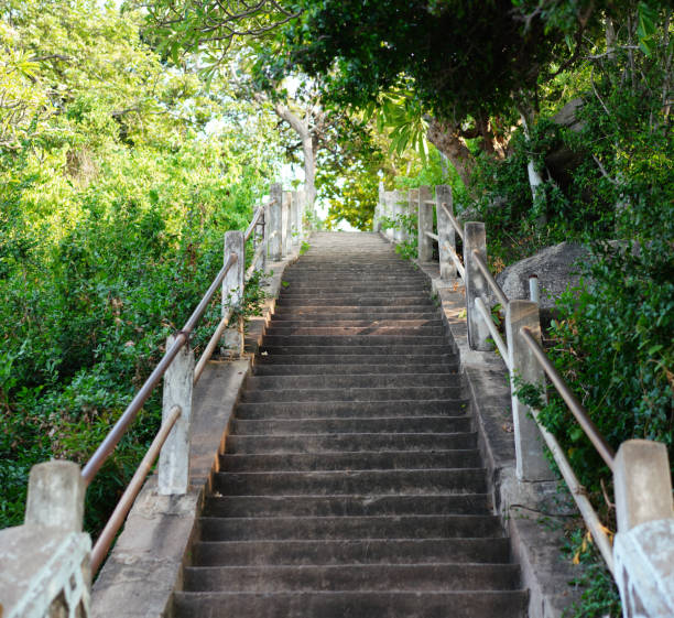 stairs go uphill amoung forest