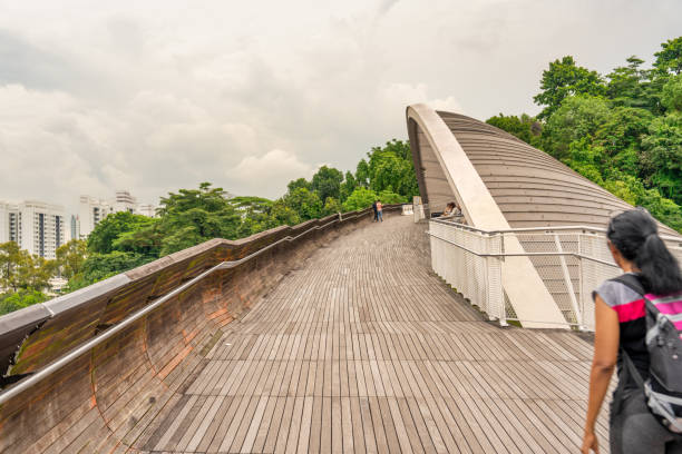Singapore - August 19, 2023: Henderson Waves Bridge in Singapore.