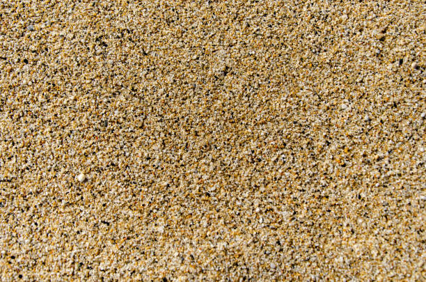 istock Texture of sand on beach. Background image for design. Beautiful beach sand texture as background 2158415991