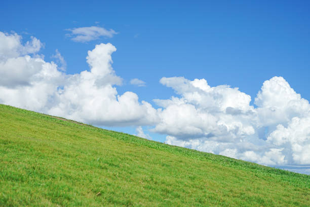 Blue sky and cloud across green grass mountain background.