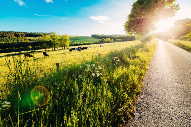 istock Aberdeenshire dawn, Scotland 2158422741