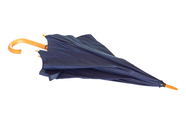 umbrella cane with wooden handle isolated from background