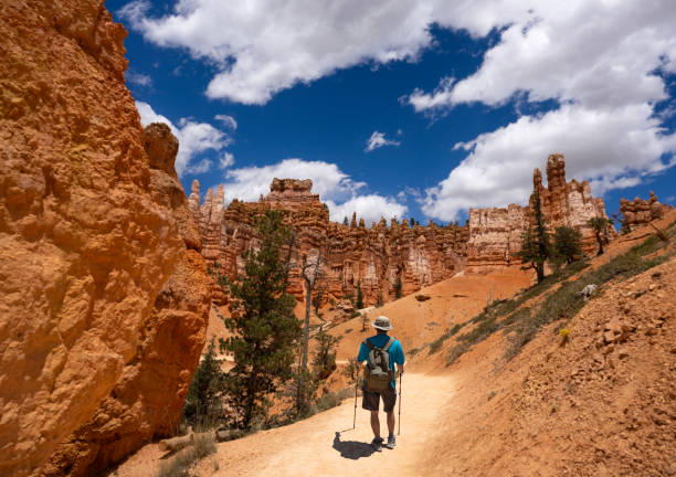Man hiking in the mountains on summer vacation.