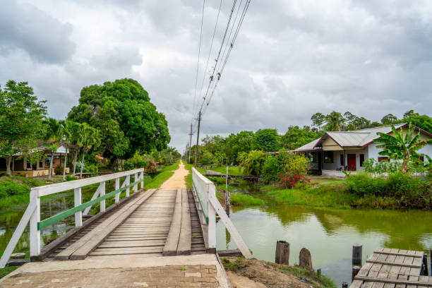 Landscape in a former plantation in Suriname