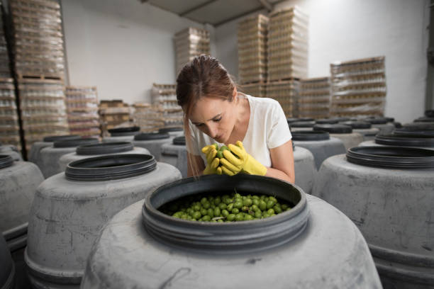 women working in olives factory, revising barrels of pickles Worker woman smelling olives in factory warehouse, quality control of fresh products. vegetable factory stock pictures, royalty-free photos & images