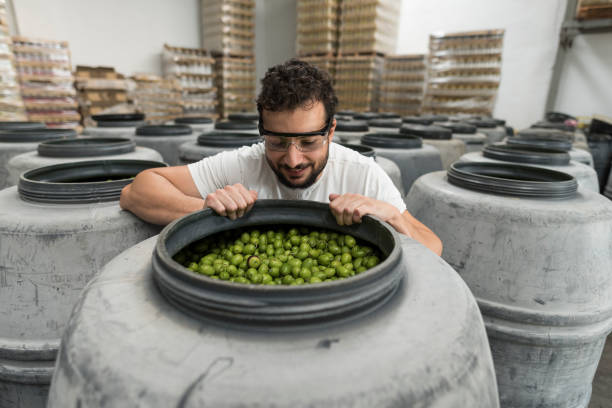 Man looking inside a fermentation barrel in olives factory