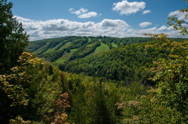 istock A ski hill in the summer 2158450856