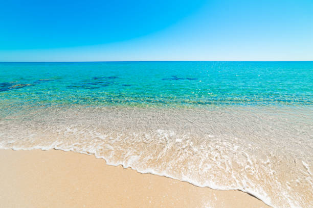 istock Beach with turquoise water and white sand on a sunny day 2158467894