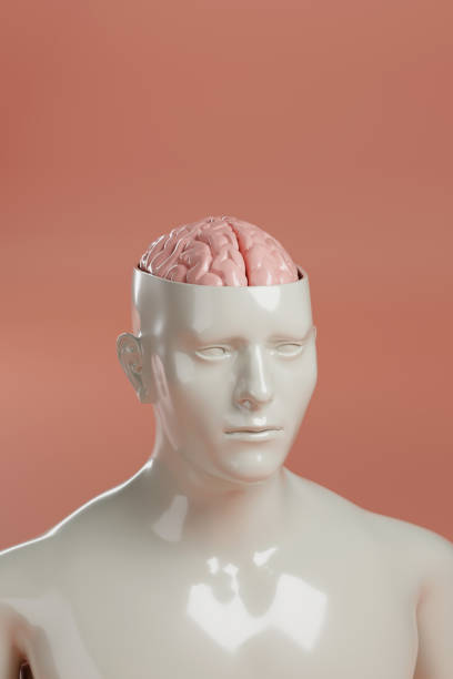 istock Sculpture of a man with his head open and his brain exposed. 3d illustration. 2158468608