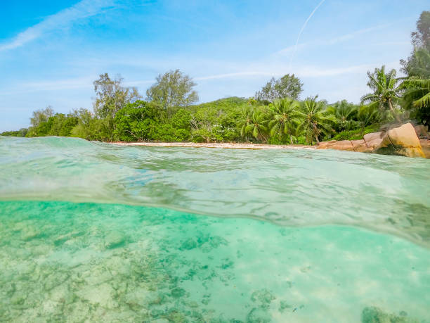 istock Split underwater view of a tropical beach 2158469070