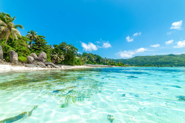 istock Tropical beach under a blue sky. Seychelles 2158470489