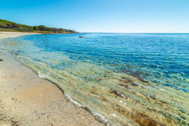 istock Clear water and blue sea in a beach in Sardinia 2158470849