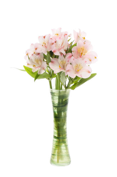 istock Alstroemeria flowers in a vase 2158470954