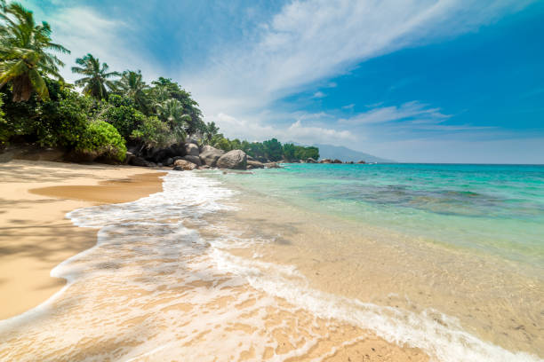 istock Golden sand in a tropical beach on a sunny day 2158471006