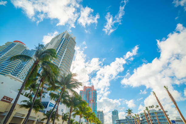 istock Skyscrapers and palms in Miami Beach 2158471522