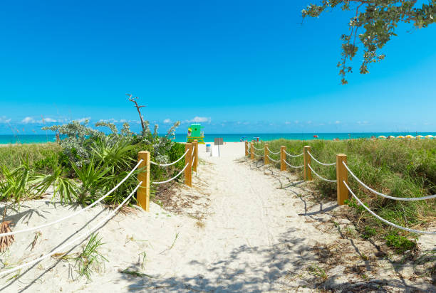 Path to the Ocean in Miami Beach