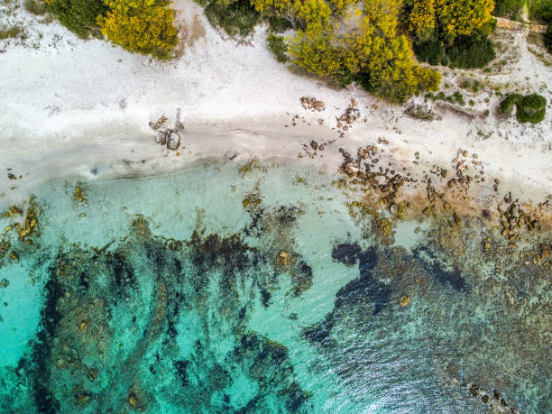 istock Aerial view of a sandy beach with turquoise water 2158472683