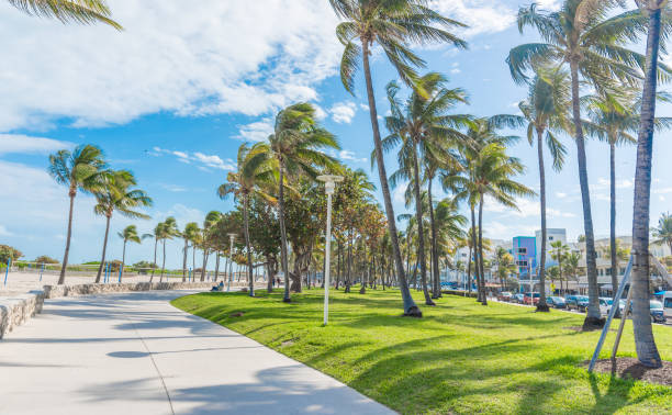 istock Palm trees by world famous Ocean Drive in Miami Beach 2158472694