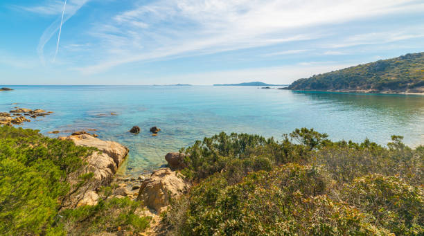 istock Turquoise water and plants in Punta Molentis beach 2158472736