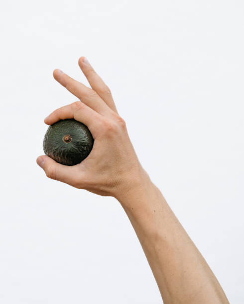 istock Hand presenting a ripe avocado against a clean white background 2158472933