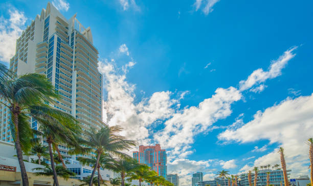 istock Skyscrapers and palm trees in Miami Beach 2158473318