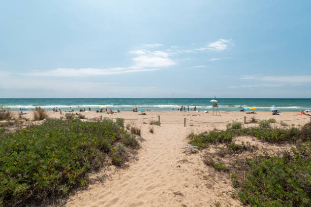 istock Beach entrance with a sandy path leading to a sunny seaside with beachgoers 2158475503