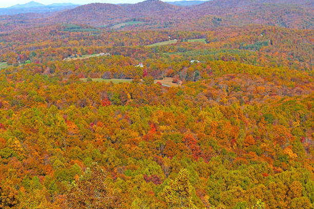 istock Fall Colors in a Rural Mountain Valley 2158476972