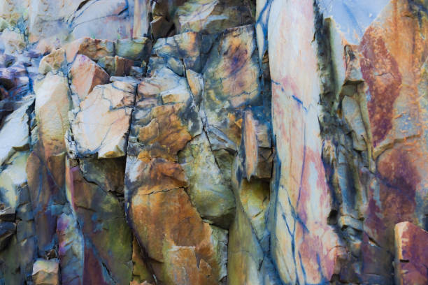 A small portion of a Canadian Shield rock in Northern Ontario.
