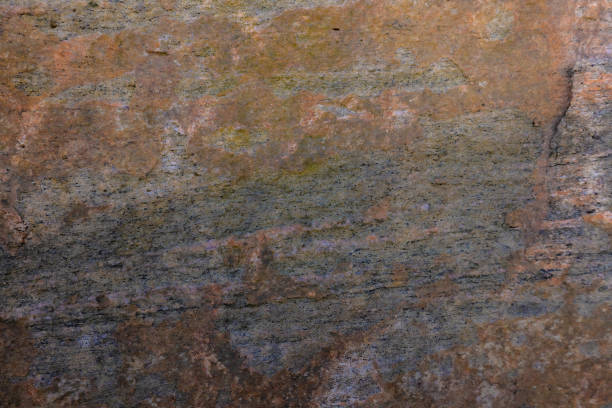 A small portion of a Canadian Shield rock in Northern Ontario.