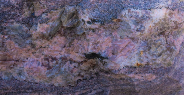 Close Up Of Canadian Shield Rock