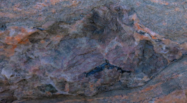 istock Close Up Of Canadian Shield Rock 2158478663