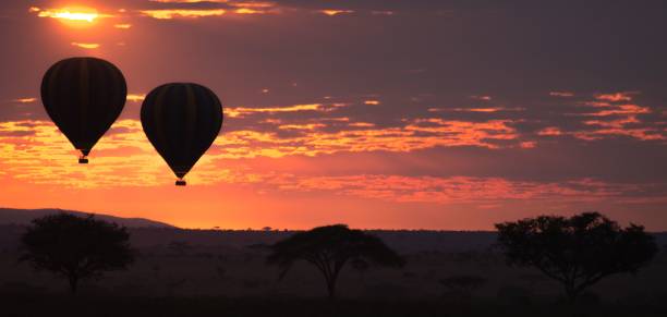 istock Hot air balloons floating over the African savannah 2158484971