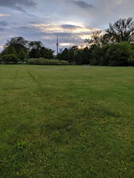 istock The Toronto Skyline from a park on Toronto Island 2158487655