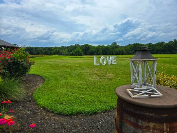 istock Love in the Field 2158497803