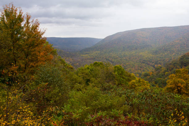 istock Views at Ohiopyle State Park, Pennsylvania in Fall 2158499743