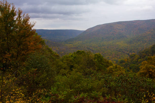 istock Views at Ohiopyle State Park, Pennsylvania in Fall 2158499767