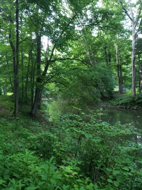 istock Simpson Creek, Bridgeport, West Virginia 2158500617