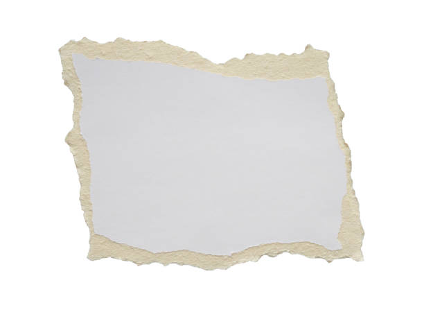 istock White ripped paper torn edges strips isolated on white background 2158502294