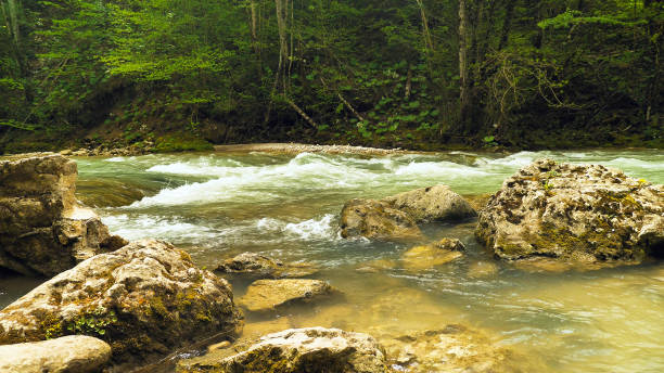 istock The serene mountain river flows through lush forest and rocks create small rapids 2158502895