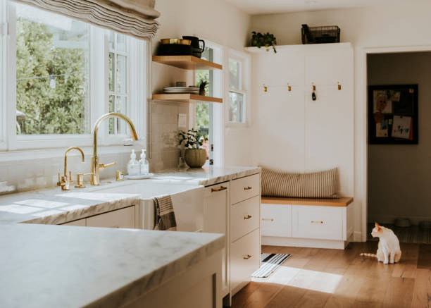 istock Golden kitchen faucet interior design 2158510265