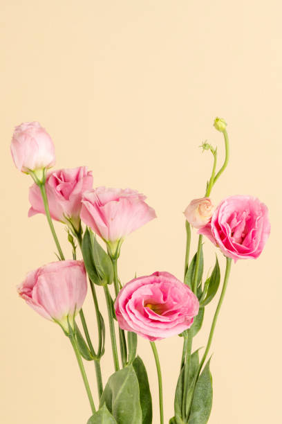 istock Bouquet of pink lisianthus flower 2158511123