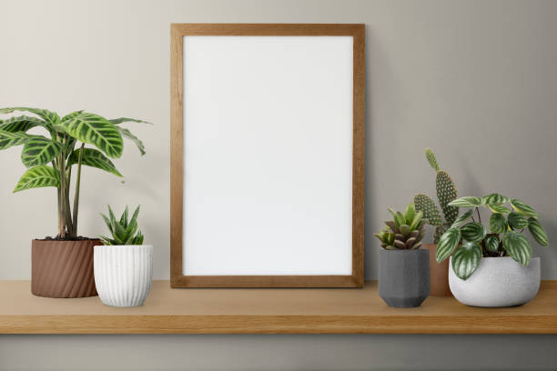 istock Wooden picture frame on a shelf with cactus 2158515549