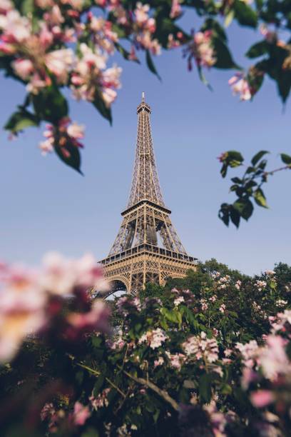 istock The Eiffel Tower at Champ de Mars in Paris, France 2158516094