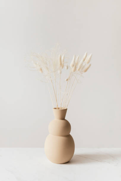 istock Dried Bunny Tail grass in abrown vase 2158516459