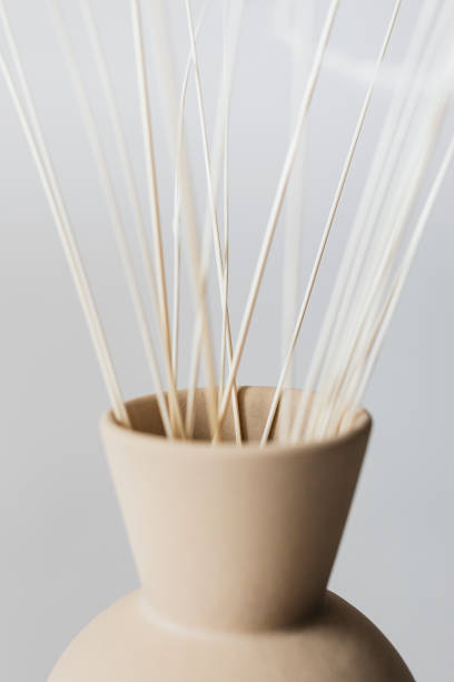 istock Ornamental grass in a brown vase 2158516461
