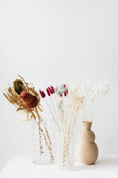 istock Dried Bunny Tail grass in vases 2158516483