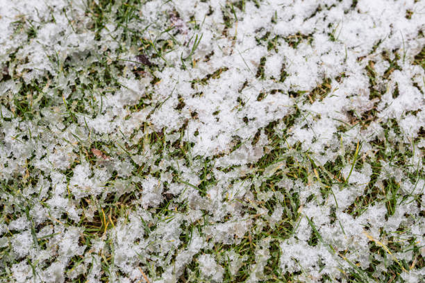 istock Snow covered green lawn background 2158516522